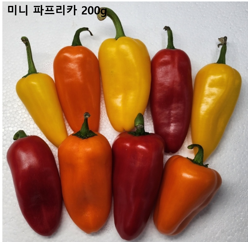 이미지2
